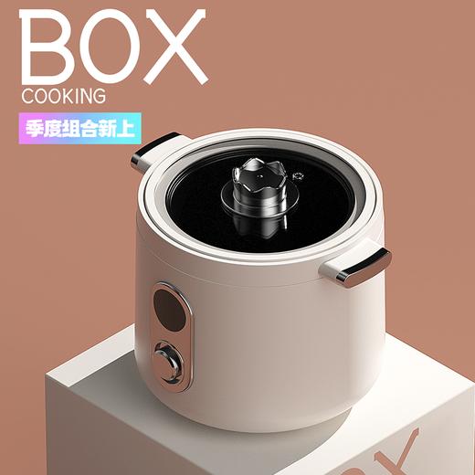 IBF艾博菲艾博菲（IBF）BOX百宝箱系列多能电饭煲【K】 商品图0