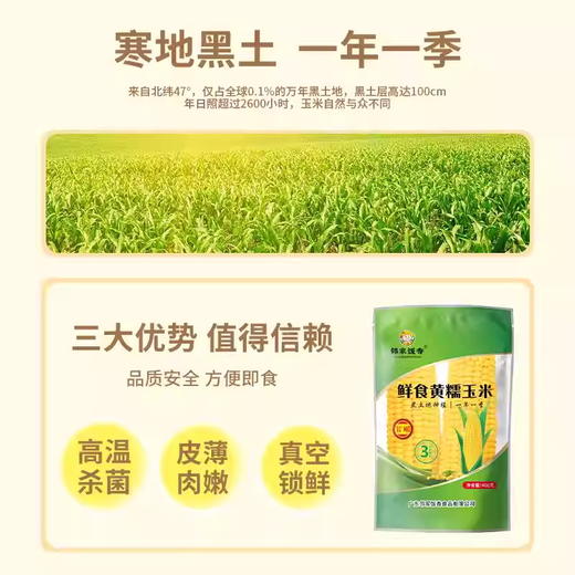 【邻家饭香】东北鲜食黄糯玉米 1600g(8穗/盒) LJFX72-Y 商品图2