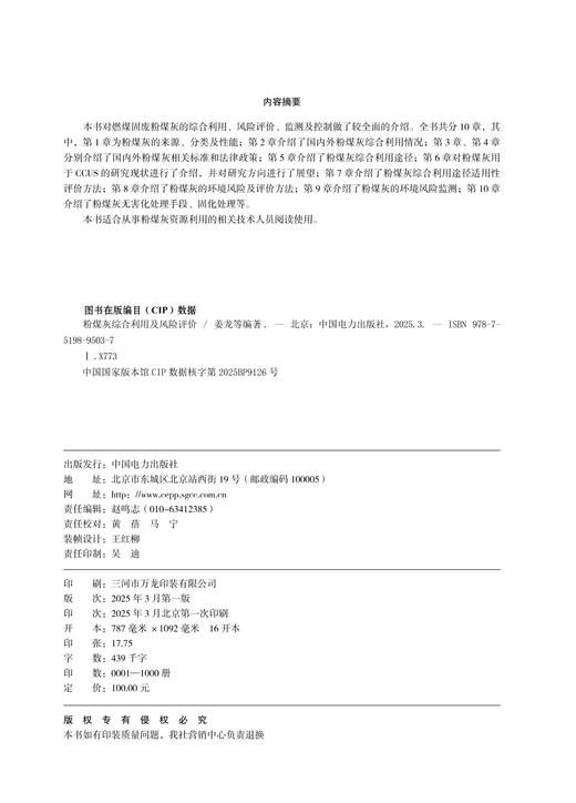 粉煤灰综合利用及风险评价 商品图3