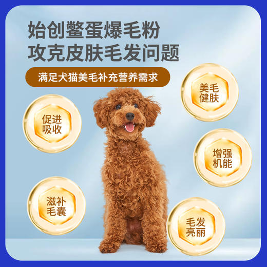 Twinkling Star鳖蛋爆毛粉200g狗狗猫咪泰迪增毛憋蛋粉卵磷脂台湾 商品图3