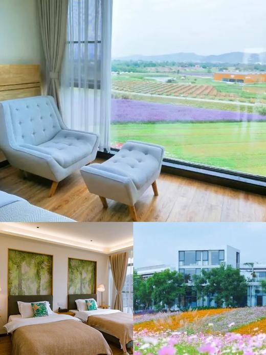 龙泉山下，望山观花海！288元入住最美花海民宿，几公里视野无遮挡！元素山丘2大1小套餐全包=民宿+门票＋下午茶！还有388元亲子房套餐～周末节假日不加收 商品图0