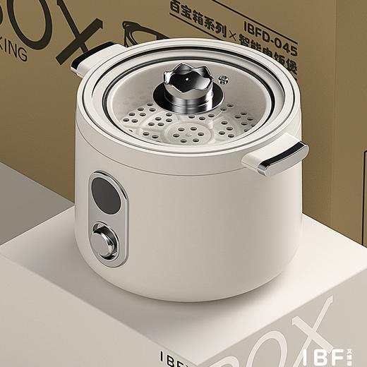 IBF艾博菲艾博菲（IBF）BOX百宝箱系列多能电饭煲【K】 商品图2