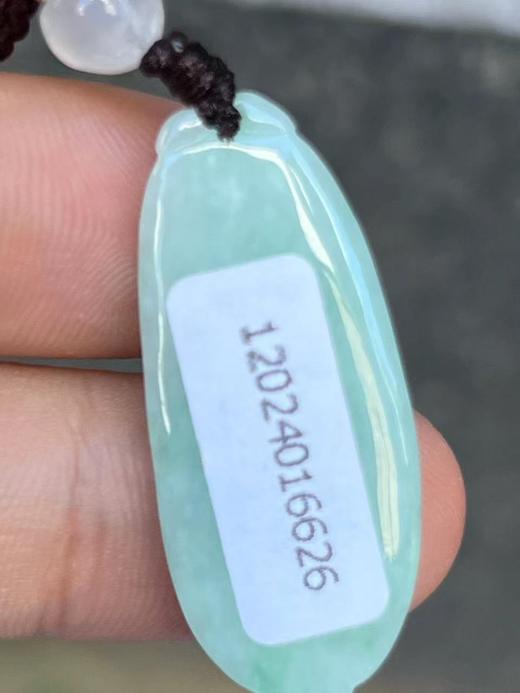 【云意轩翡翠】编号：6626 糯冰绿底翡翠福瓜 天然翡翠 附证书 商品图3