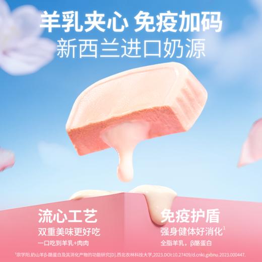 布兰德芯意满满-春日限定流心餐盒鸡肉莓果味100g（犬猫通用） 商品图3