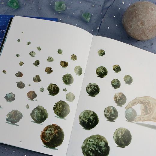 像石头一样：从远古到现代的人类战争史（意）亚历山德罗·桑纳 著 商品图5