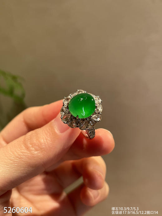 老坑高冰种艳绿蛋面戒指【5260604】具体价格微信咨询 商品图1