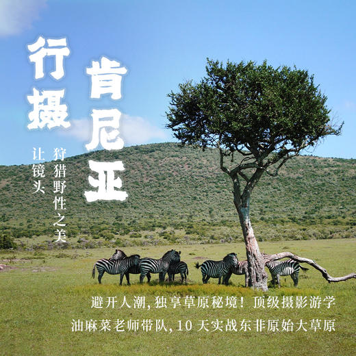 2025肯尼亚生态摄影之旅 商品图0