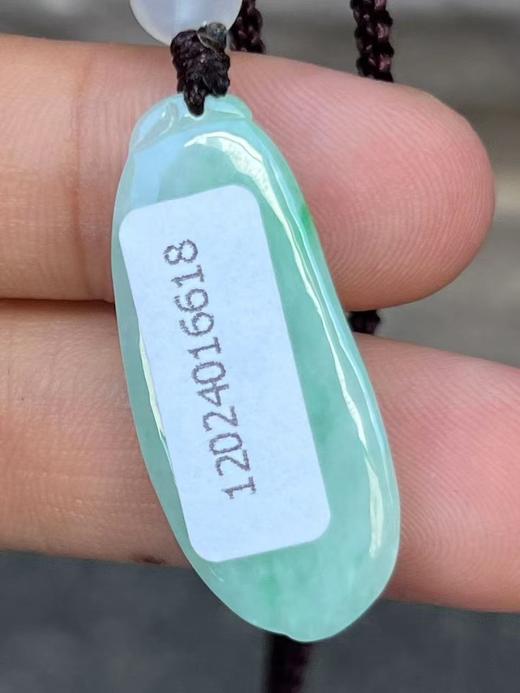 【云意轩翡翠】编号：6618 糯冰绿底翡翠福瓜  天然翡翠 附证书 商品图3