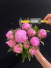 精品花材弗莱明芍药花 商品缩略图6