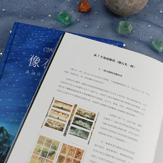 像石头一样：从远古到现代的人类战争史（意）亚历山德罗·桑纳 著 商品图6