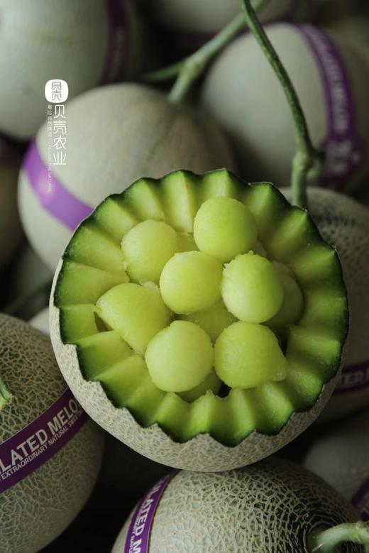 『梵·蜜』高品质『网纹瓜』 商品图5