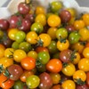 每年就惦记这一口脆爽【柿小愿 多彩小番茄】混水果圈的小番茄 颗颗饱满 晶莹剔透 满口爆汁 根本停不下来！ 商品缩略图9