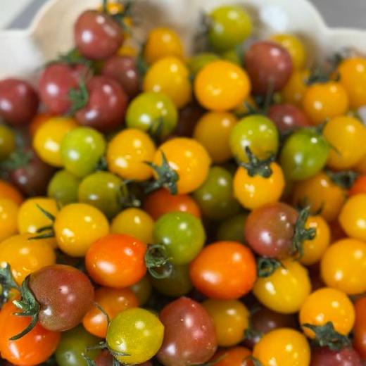 每年就惦记这一口脆爽【柿小愿 多彩小番茄】混水果圈的小番茄 颗颗饱满 晶莹剔透 满口爆汁 根本停不下来！ 商品图9