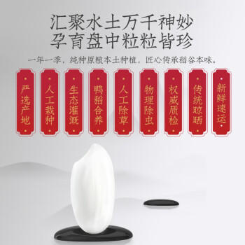 珍尚米 东北长粒香大米5kg 新真空包装 粳米粥米10斤  /粮油调味 /米 /长粒香米 商品图5