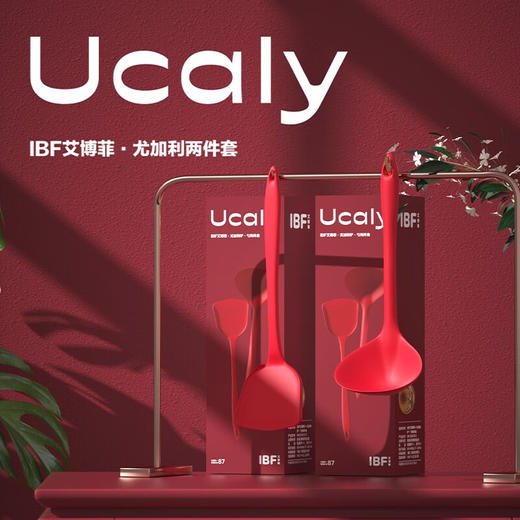 IBF艾博菲艾博菲尤加利·铲勺两件套【K】 商品图2