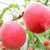 水蜜桃 约600g/份 商品缩略图3