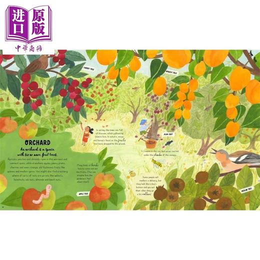 【中商原版】How to Grow a Garden 如何种植花园 英文原版  商品图1
