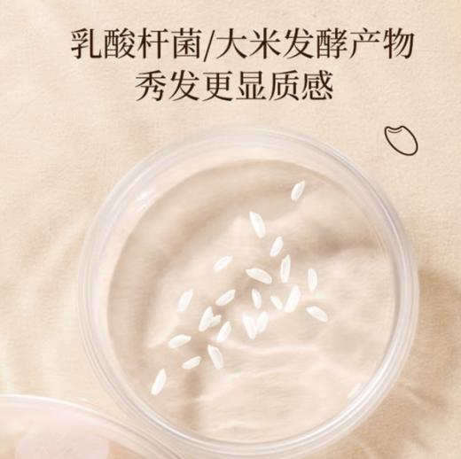 浅香米酿氨基酸洗发水丰盈蓬松型500g-1034  商品图5