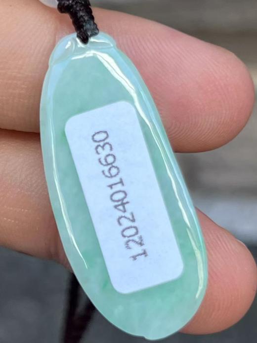 【云意轩翡翠】编号：6630 糯冰绿底翡翠福瓜  天然翡翠 附证书 商品图3