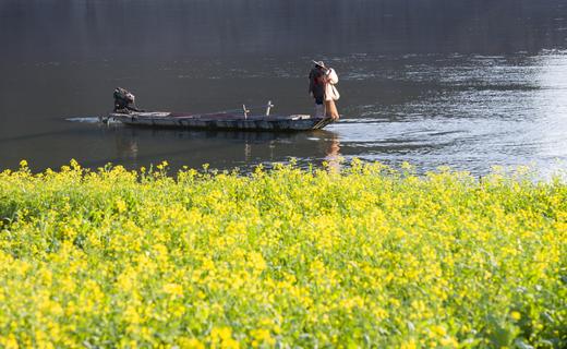 4月20日春摄辽东 6 日｜赏旅顺烂漫樱海，拍瓦房店奇绝海蚀，登虎山长城，观丹东万鸟齐飞 商品图7