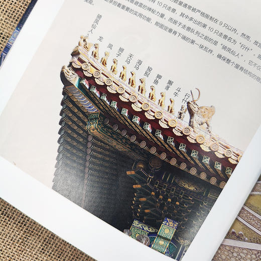 大国之美：图说中国建筑常识 商品图3
