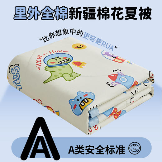 三泰龙 小清新纯棉夏凉被四件套夏季全棉棉花空调被 商品图9
