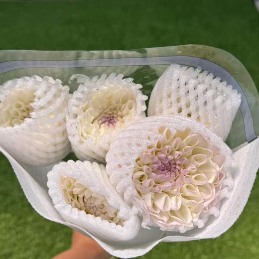 大丽花.伊芙琳 商品图1