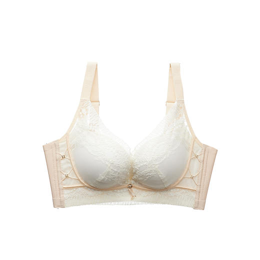 都市丽人自然舒适调整型内衣LJ31X8 商品图2