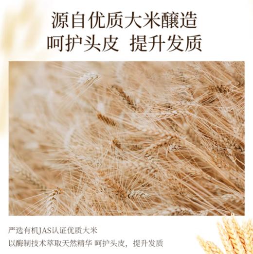 浅香米酿氨基酸洗发水丰盈蓬松型500g-1034  商品图6