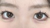toffee日抛美瞳 奶油森林 14.2mm 商品缩略图0