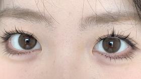 toffee日抛美瞳 奶油森林 14.2mm