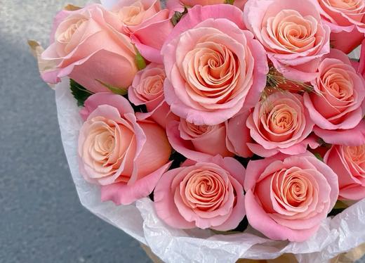 朱小姐玫瑰 商品图2