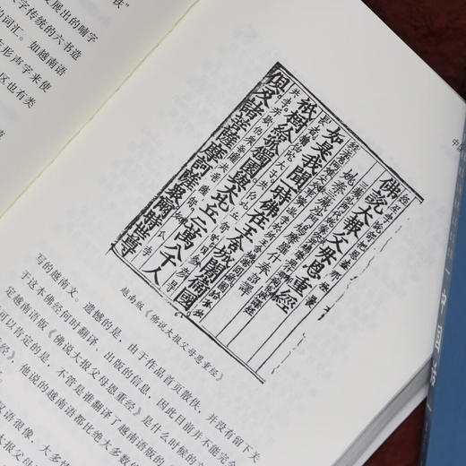 中国话：以语言为考古工具重现国人的文化史（马伯庸推荐）郑子宁 著 商品图6