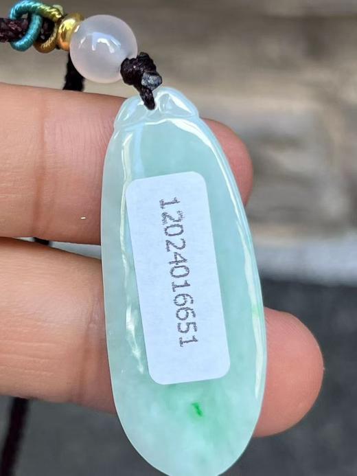 【云意轩翡翠】编号：6651 糯冰绿底翡翠福瓜  天然翡翠 附证书 商品图3