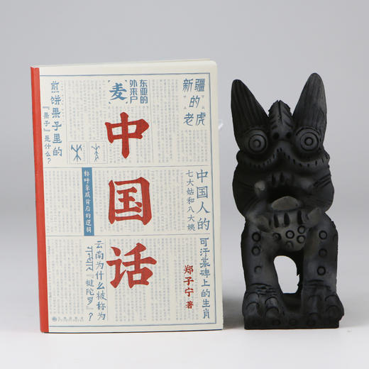 中国话：以语言为考古工具重现国人的文化史（马伯庸推荐）郑子宁 著 商品图5