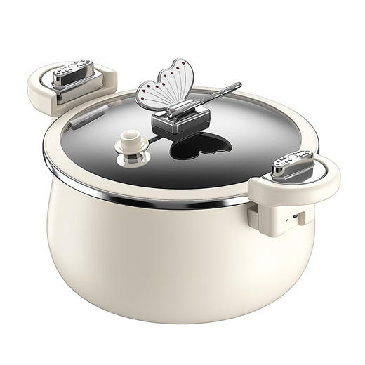 IBF艾博菲艾博菲（IBF）斑斓微压深炖锅IBF-2307TG【K】 商品图3