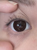 toffee日抛美瞳 巧可喵 14.5mm 商品缩略图0