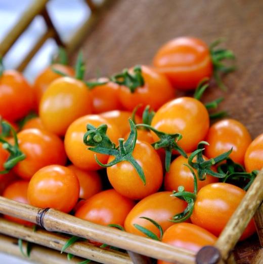 每年就惦记这一口脆爽【柿小愿 多彩小番茄】混水果圈的小番茄 颗颗饱满 晶莹剔透 满口爆汁 根本停不下来！ 商品图7