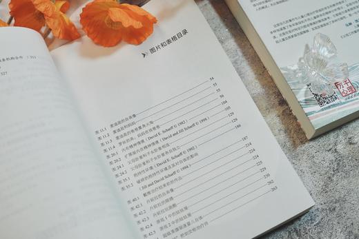 万千心理·儿童青少年精神分析导论 商品图5