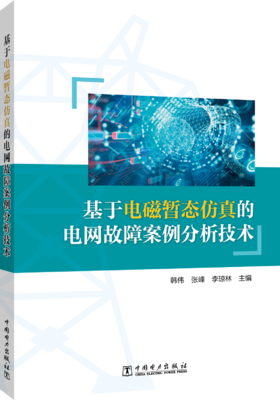 基于电磁暂态仿真的电网故障案例分析技术
