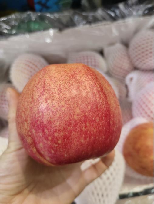 乔纳金苹果3斤 商品图0