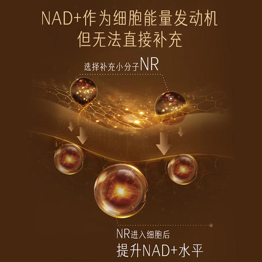 Swisse PLUS NAD+能量瓶 30粒装【效期品-1/2-1/3效期】2026-08-01 商品图4