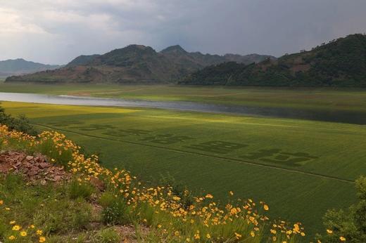 4月20日春摄辽东 6 日｜赏旅顺烂漫樱海，拍瓦房店奇绝海蚀，登虎山长城，观丹东万鸟齐飞 商品图2