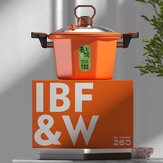 IBF艾博菲IBF艾博菲安德微·多能几何微压锅【K】 商品图0