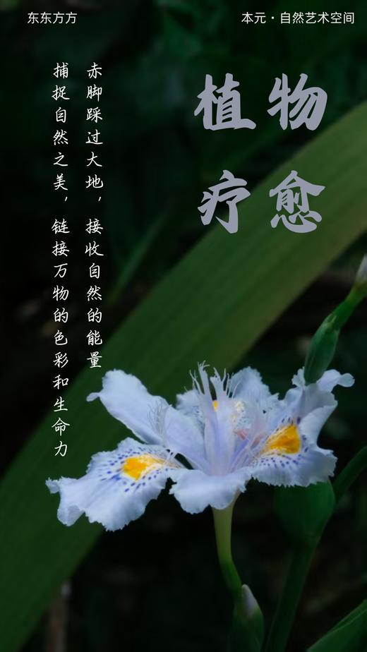 【线下】安琪老师 回村休息·杭州·瑜伽冥想颂钵茶会养生练功自然合一【7月12日13时至13日17时杭州·欢潭村】【1年内有效 权益商品不支持退款 谨慎下单】 商品图9