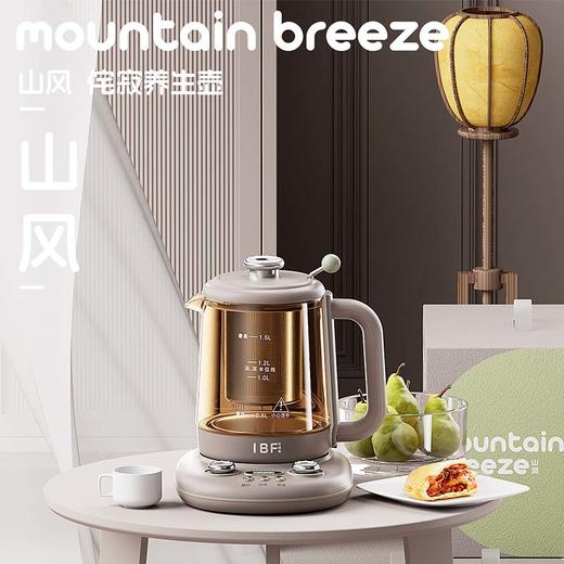 IBF艾博菲艾博菲山风侘寂养生壶双旋扭1.5L【K】 商品图0