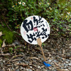 空盒自然出粽/长双层【粽层+粽层】54元一套/9套一箱 商品缩略图9