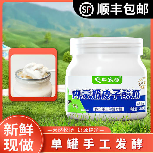 定丰农场 内蒙奶皮子酸奶(268g*6罐)新鲜现做单罐手工发酵 商品图0
