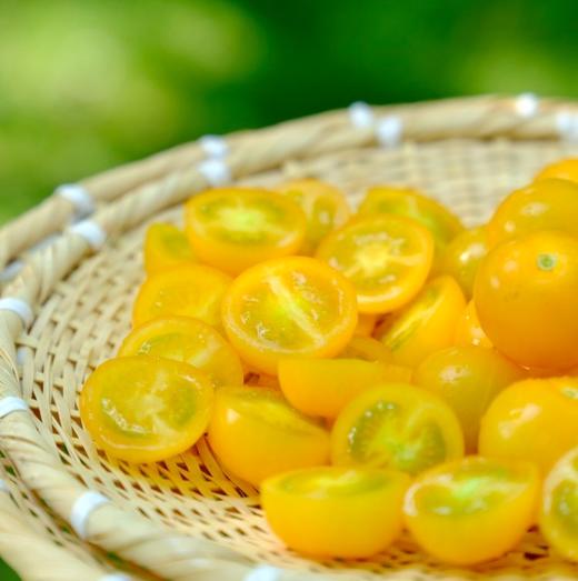 每年就惦记这一口脆爽【柿小愿 多彩小番茄】混水果圈的小番茄 颗颗饱满 晶莹剔透 满口爆汁 根本停不下来！ 商品图11