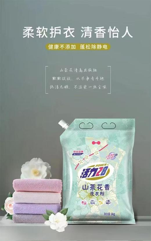 山茶花洗衣粉花香持久留香强效去污去渍宿舍学生 商品图1